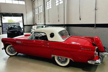 Thunderbird 1956 - À Venda