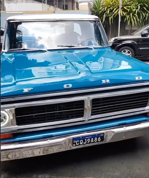 Ford F100